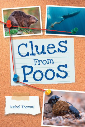 Clues from Poos