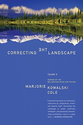 Correcting the Landscape