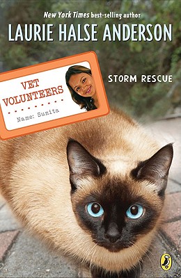 Storm Rescue