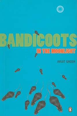 Bandicoots in Moonlight