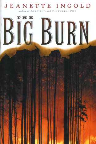 The Big Burn