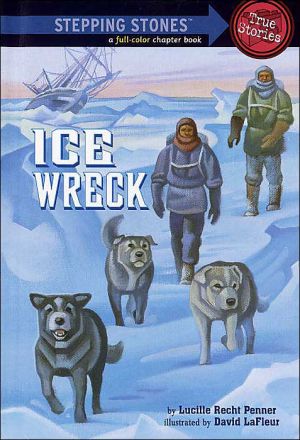 Ice Wreck