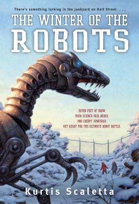 The Winter of the Robots