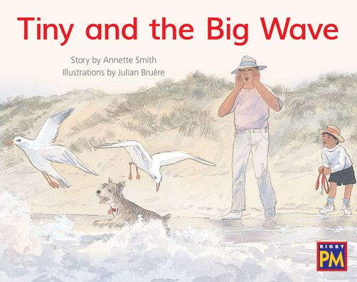 Tiny and the Big Wave