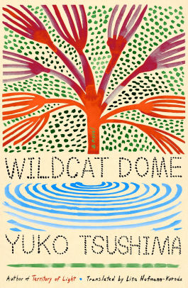 Wildcat Dome