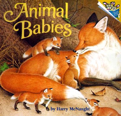 Animal Babies