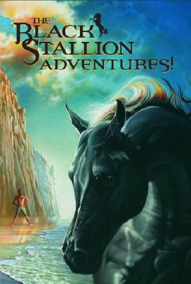 Black Stallion Adventure Set