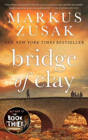 bridge of clay book review