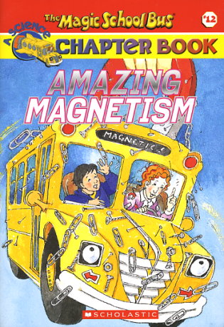 Amazing Magnetism