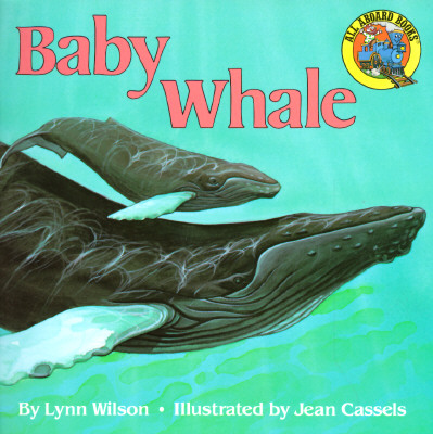 Baby Whale