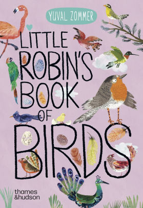 Little Robin's Book of Birds