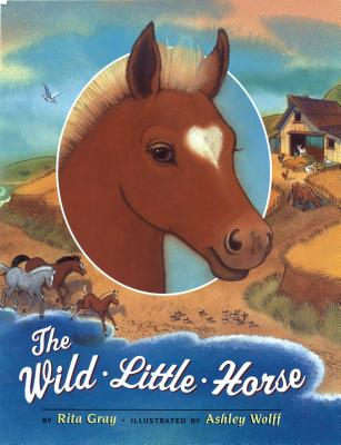 The Wild Little Horse