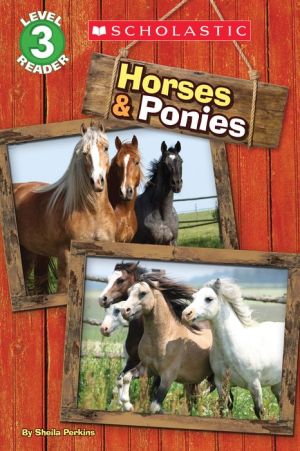 Horses and Ponies