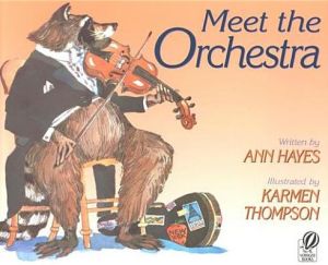 Meet the Orchestra