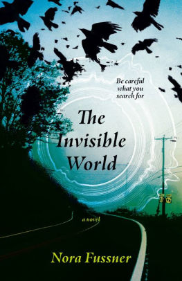 The Invisible World