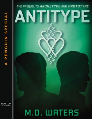 Antitype