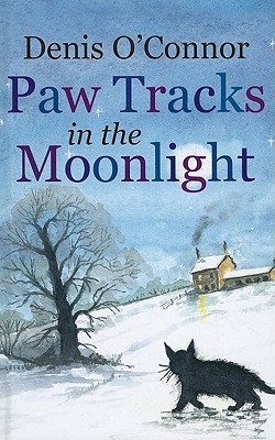 Paw Tracks in the Moonlight