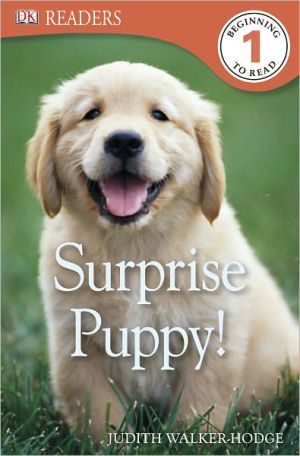 Surprise Puppy!