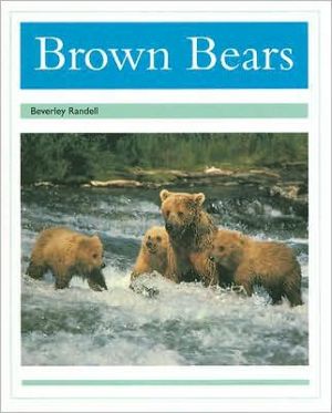 Brown Bears