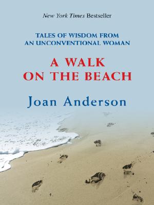 A Walk on the Beach