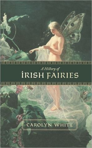 A History of Irish Fairies