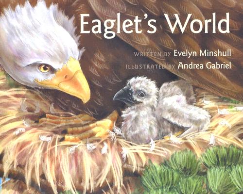 Eaglet's World