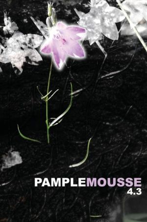 Pamplemousse 4.3