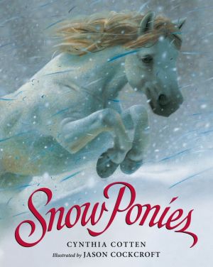 Snow Ponies