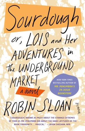 books like sourdough by robin sloan