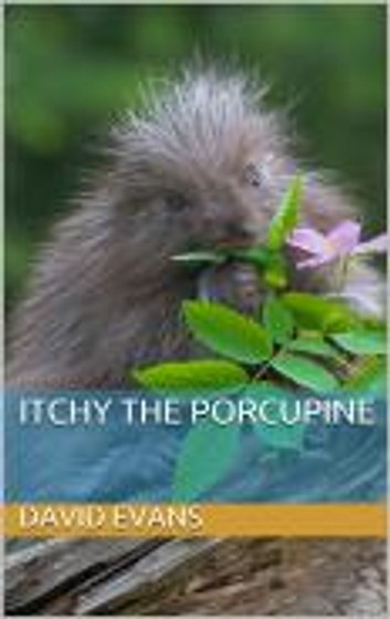 Itchy The Porcupine