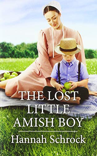 The Lost Little Amish Boy