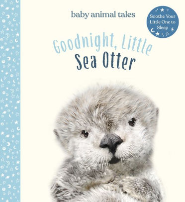 Goodnight, Little Sea Otter