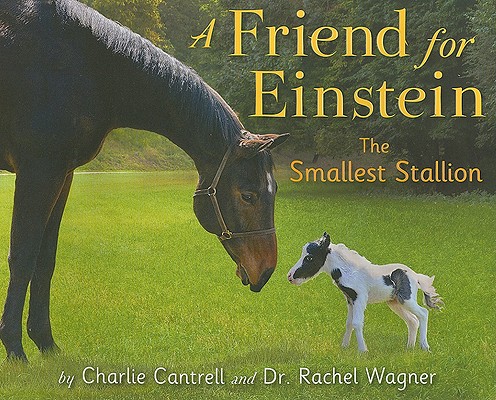 A Friend for Einstein, the Smallest Stallion