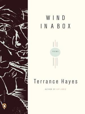 Wind in a Box