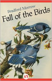 Fall of the Birds