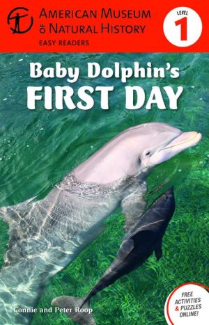 Baby Dolphin's First Day