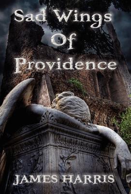 Sad Wings of Providence