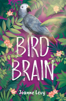 Bird Brain