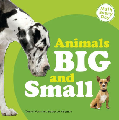 Animals Big and Small