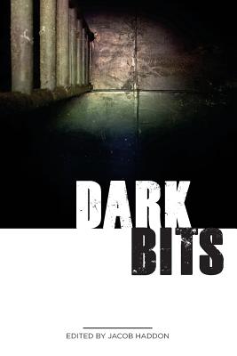 Dark Bits