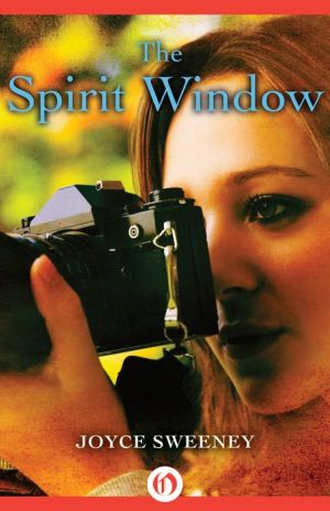 The Spirit Window