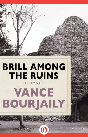 Brill Among the Ruins