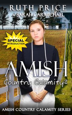 An Amish Country Calamity 2