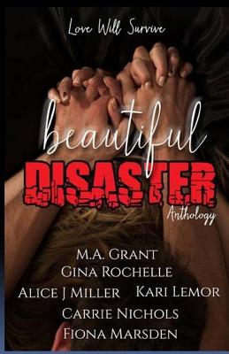 Beautiful Disaster Anthology