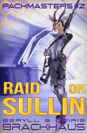 Raid on Sullin