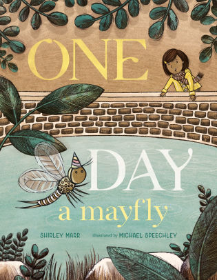 One Day a Mayfly