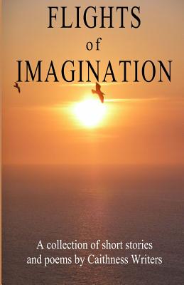 Flights of Imagination