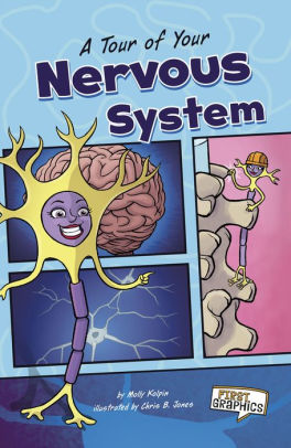 A Tour of Your Nervous System