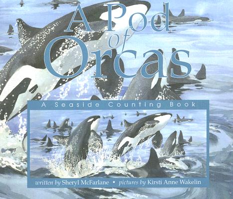 A Pod of Orcas