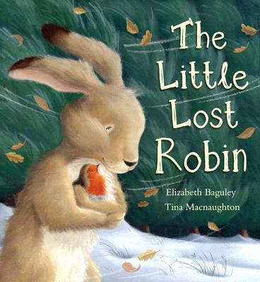 The Little Lost Robin